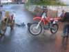 Photo Number 11